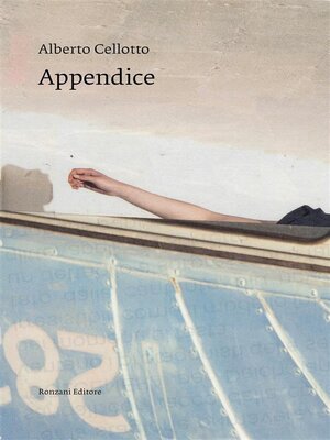 cover image of Appendice